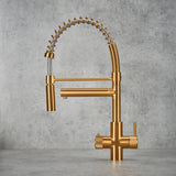 Verossi | Versan | Flexi 3 in 1 Instant Boiling Tap | Brushed Gold Finish