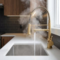 Verossi | Flex | Multiuse Style 3 in 1 Instant Boiling Tap with Flexi Spray  | Brushed Brass Finish