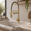 Verossi  | Kitchen Sink Mixer with Flexi Spray | Brushed Brass